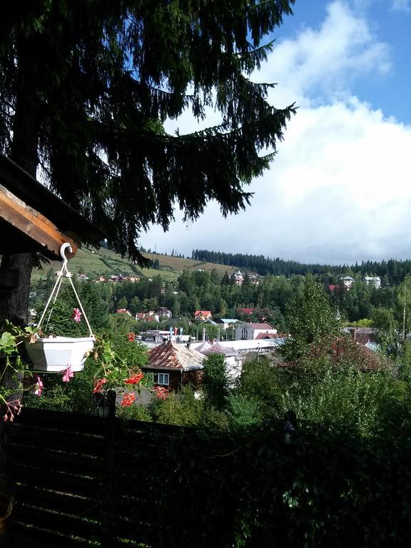 vila Dariana Vatra Dornei Luaran gambar