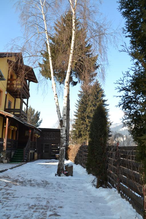 vila Dariana Vatra Dornei Luaran gambar