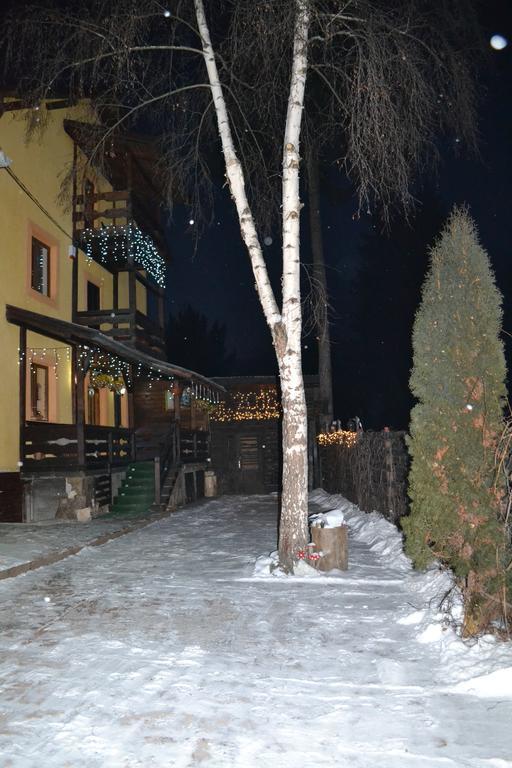 vila Dariana Vatra Dornei Luaran gambar