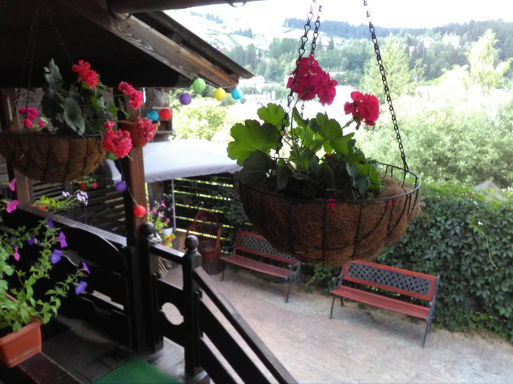 vila Dariana Vatra Dornei Luaran gambar