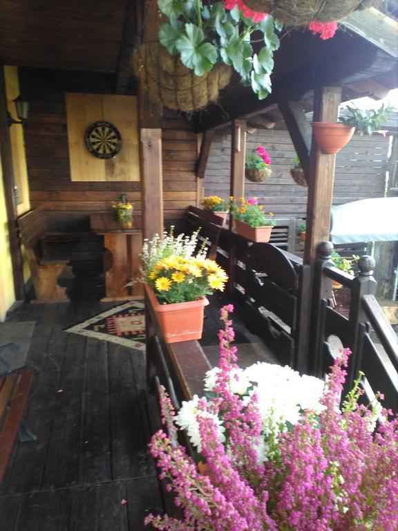 vila Dariana Vatra Dornei Bilik gambar