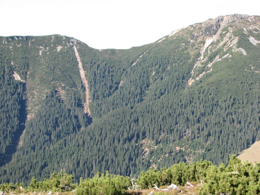 vila Dariana Vatra Dornei Luaran gambar
